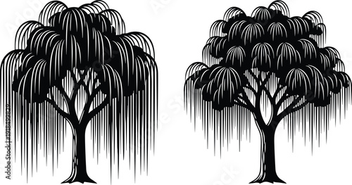 Black weeping willow tree silhouettes vector illustration showing two elegant drooping trees, minimalist nature design isolated on white background for decor and branding