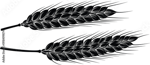 Black wheat ears vector illustration isolated on white background, agricultural grain symbol design for farming, harvest, food industry, bakery concepts