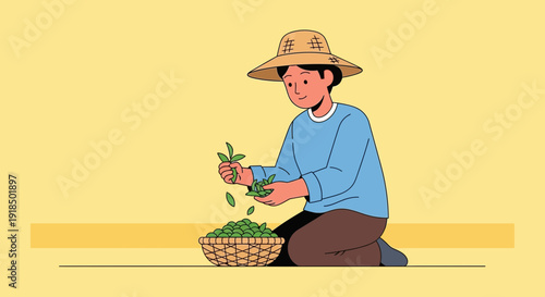 A smiling farmer in a straw hat collecting green tea leaves into a basket while kneeling outdoors.