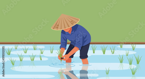 Farmer wearing a conical hat planting rice seedlings in a water-filled paddy field