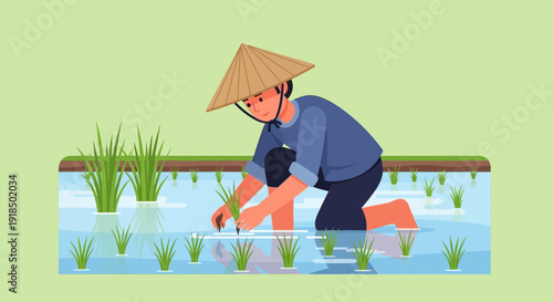 Asian farmer planting rice seedlings in a paddy field with a traditional conical hat