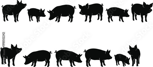 Pig silhouettes collection showing farm livestock animals in different poses, black swine icons for agriculture, farming, pork production, rural animal design illustration set vector