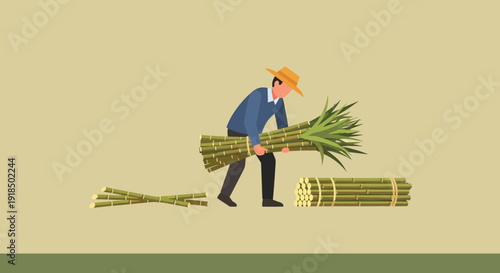 Farmer Carrying Harvested Sugarcane Bundles in a Rural Agricultural Field
