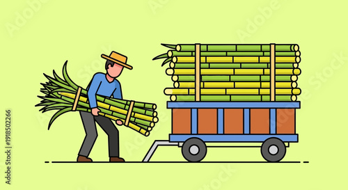 Farmer carrying bundles of sugarcane to a loaded cart for transport at harvest time