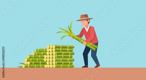 Farmer harvesting a bundle of sugarcane stalks near a large stack of crops