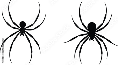 Black spider silhouette vector illustration, top view arachnid design, insect anatomy comparison, Halloween graphic, creepy bug clipart, isolated on white background