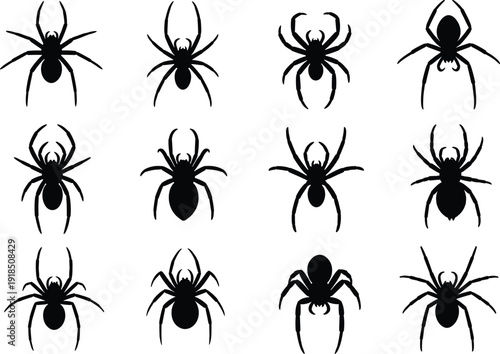 Black spider silhouettes vector collection, various creepy spider designs, Halloween insect icons, tarantula and web spider shapes, isolated on white background
