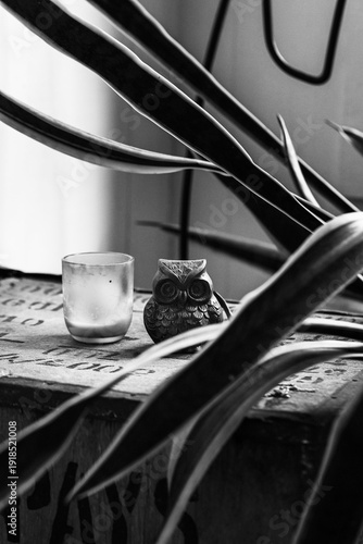 Black and White Still Life with Owl Figurine and Candle Behind Plant Leaves