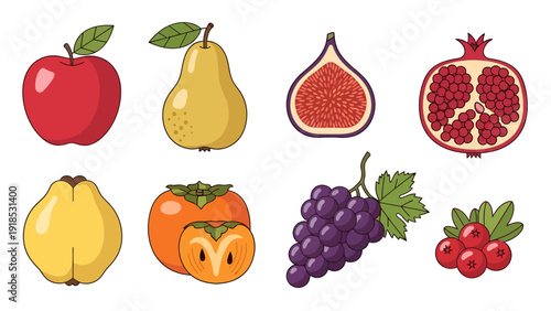 Vector illustration set of various colorful fruits including red apple, yellow pear, sliced fig, pomegranate, quince, persimmon, purple grapes, and cranberries.