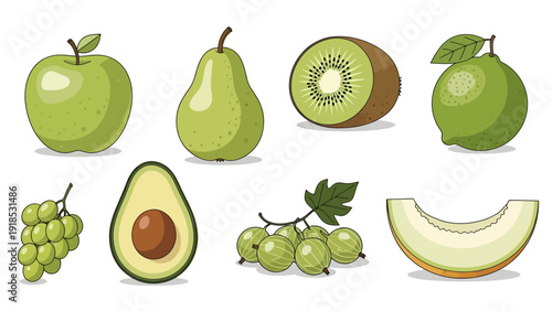 Green Fruit Collection Vector Illustration Featuring Apple Pear Kiwi Lime Grapes Avocado Gooseberry and Melon Slice Isolated on White Background for Food Design