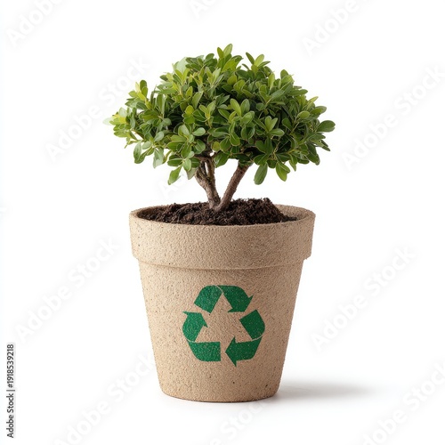 Small green plant in a recycled pot with a recycling symbol