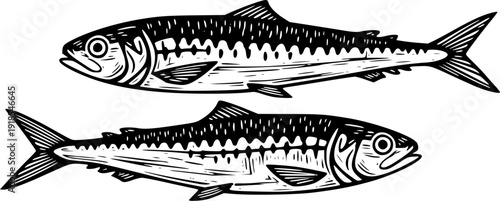 Pair of mackerel fish in vintage linocut engraving style, isolated vector illustration.