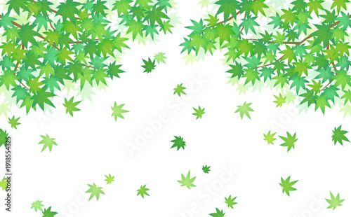 舞い散る緑のもみじフレーム1_横