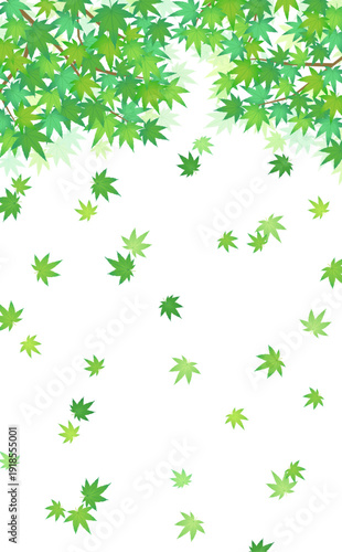 舞い散る緑のもみじフレーム1_縦