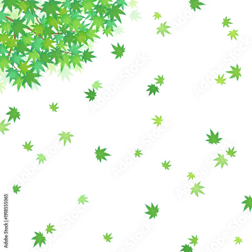 舞い散る緑のもみじフレーム3_正方形