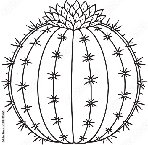 Tree bark texture shape line art black and white botanical illustration eps svg