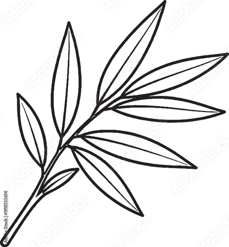 Taro leaf line art botanical illustration elephant ear leaf black and white
