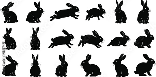 Extensive collection of detailed black rabbit and hare silhouettes in various active poses including running jumping and sitting isolated.