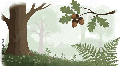 Beautiful green forest landscape illustration featuring large tree trunks a hanging oak branch with brown acorns and lush green ferns.