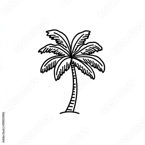 Simple black and white line drawing of a palm tree with a curved trunk
