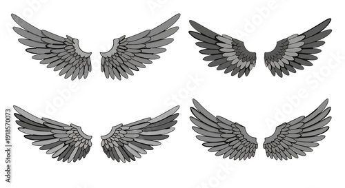Realistic Angel Wings Vector Set – Detailed Feather Wing Illustrations