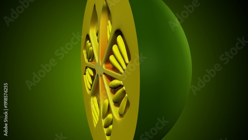 Lemon inner structure anatomy. 3d illustrations