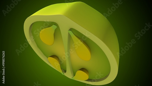 Lemon inner structure anatomy. 3d illustrations