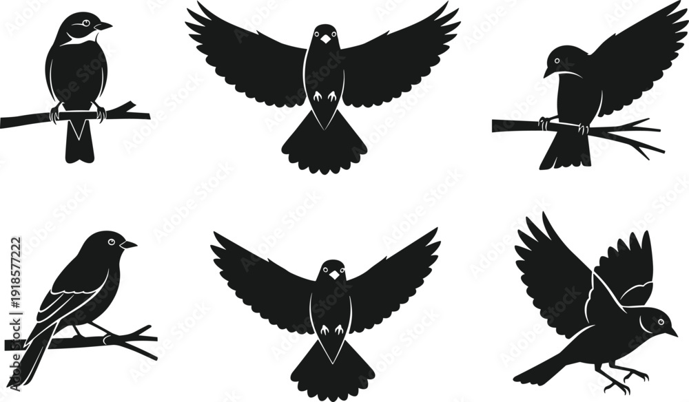 Naklejka premium Black Bird Silhouette Vector Set Featuring Sparrow and Robin Icons in Flying and Perching Poses Isolated on White Background for Graphic Design Elements