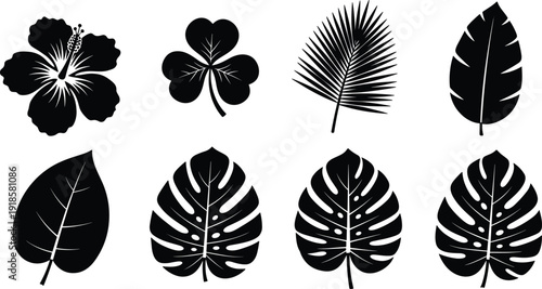 Black tropical leaf silhouettes set including monstera deliciosa hibiscus flower palm frond banana leaf and clover isolated on white background for summer nature design