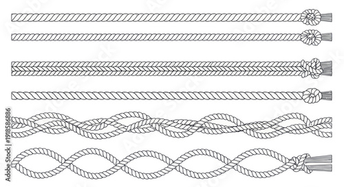 Collection of Nautical Knots and Rope Types, Hand-Drawn Illustration