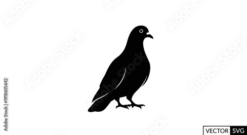 Black silhouette of a pigeon bird standing on white background, vector illustration