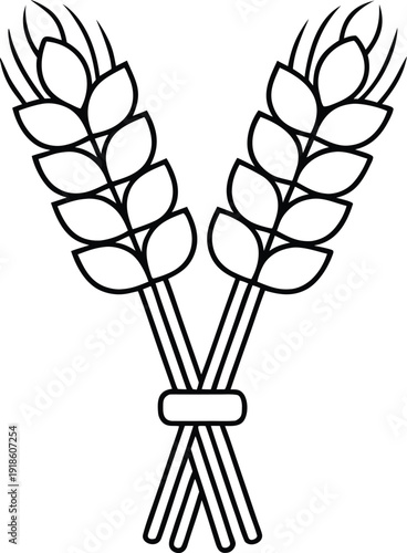 barley sheaf omer offering line art vector illustration on transparent background