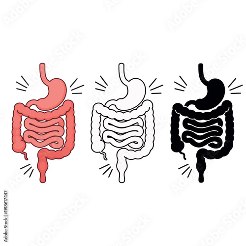 Illustration of human digestive system in different colors