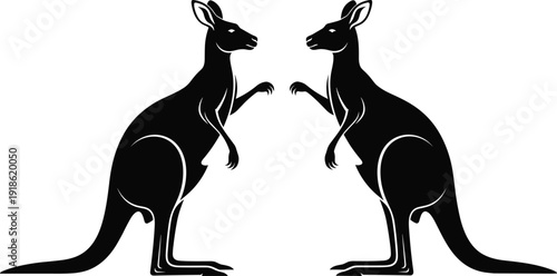 Kangaroo silhouettes facing each other isolated on white background, symmetrical marsupial animal design, Australian wildlife symbol, boxing stance pose illustration for logo, tattoo and decorative