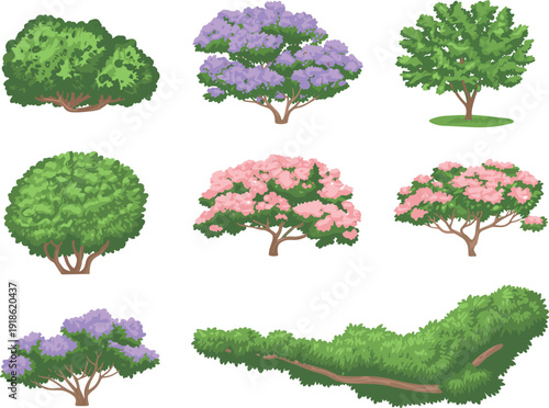 Decorative garden bushes and flowering shrubs set, colorful landscaping plants collection with green foliage and pink purple blossoms isolated on white background