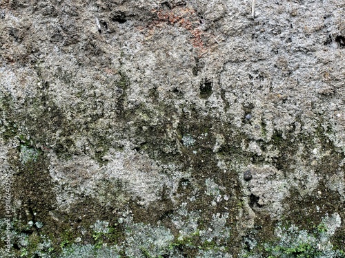 Old walls covered in moss look very artistic as a background.