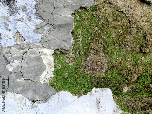 Old walls covered in moss look very artistic as a background.