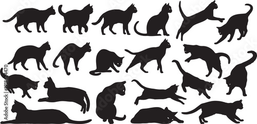 Wallpaper Mural Vector illustration set of cat silhouettes designed as clean solid black shapes suitable for illustration use. Torontodigital.ca