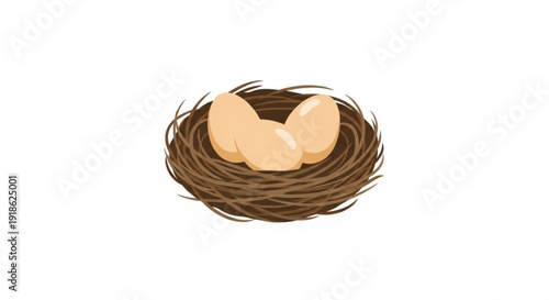 Bird eggs in a nest brown twigs beige eggs natural habitat wildlife scene