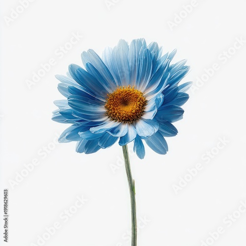 A vibrant blue daisy with a textured golden center on a white background