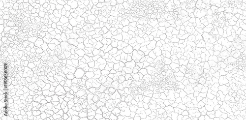 A close-up view of a cracked white surface texture pattern