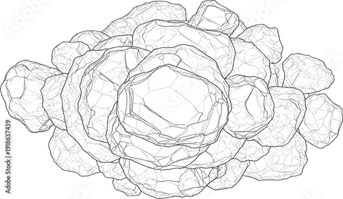 A detailed line drawing of a flower from a top-down viewpoint showcasing its intricate petals and layered structure