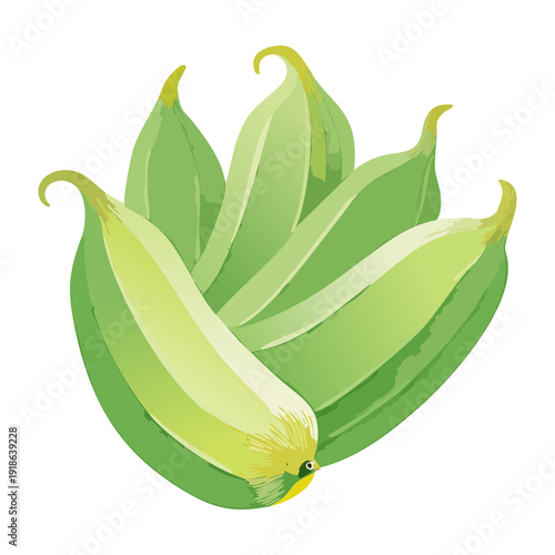 Fresh green leaf bunch for healthy salad recipes and organic farming market and nutrition focused graphic design - Vector Illustration