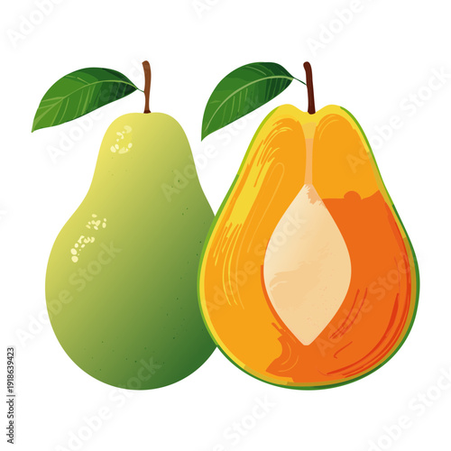 Sliced green and orange papaya showing seeds for healthy tropical breakfast and organic fruit market promotional graphics - Vector Illustration