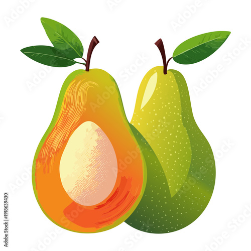 Two fresh green pears sliced in half showing seeds and juicy organic fruit texture for healthy eating - Vector Illustration