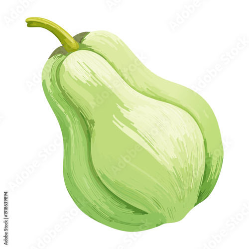 Pale green gourd or squash for healthy organic vegetable cooking and autumn harvest garden produce branding icons - Vector Illustration