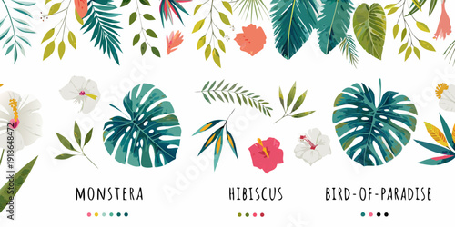 Tropical leaves and flowers pattern with monstera hibiscus and bird of paradise