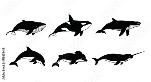 A set of wild animal silhouettes featuring a collection of black vector illustrations including birds flying, fish in the ocean, and wildlife nature icons for creative design