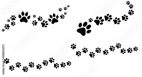 Animal Paw Prints Trail Vector Set Dog Cat Footprint Tracks Collection