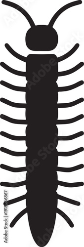 Vector art of a black centipede with many legs is shown, its body curved in an sshape, antennae extended, creating a striking contrast against the white backdrop